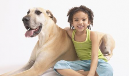 女人与狗交给配视频,一段感人至深的配视频故事